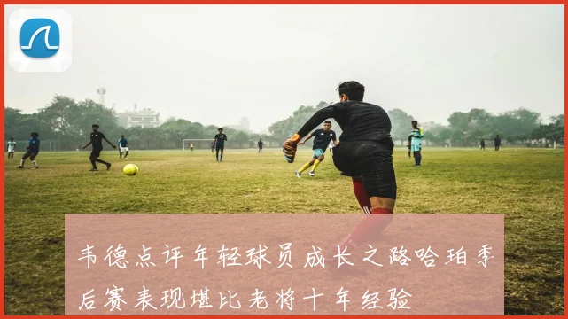 韦德点评年轻球员成长之路哈珀季后赛表现堪比老将十年经验
