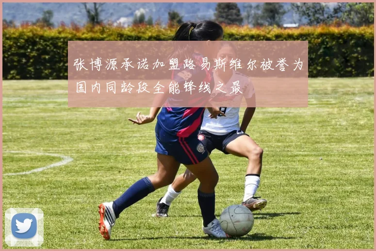 张博源承诺加盟路易斯维尔被誉为国内同龄段全能锋线之最